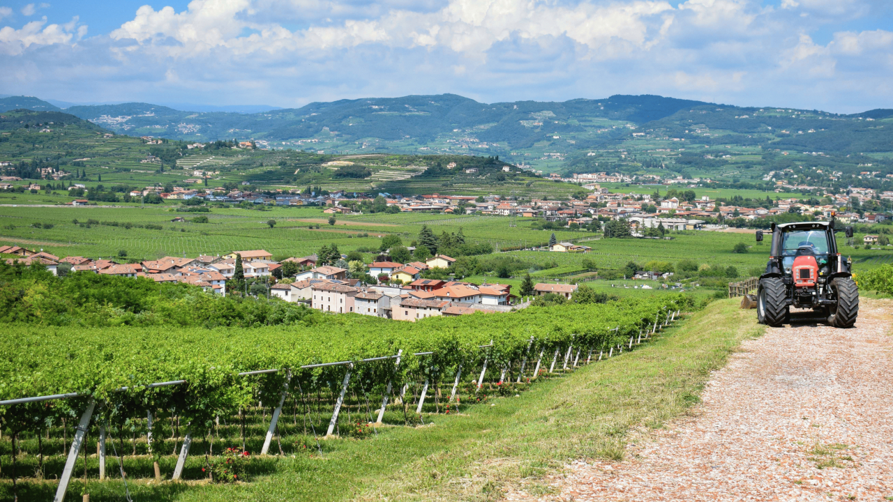 8d46279a6c4423766d501d478fbd15b3be492d72aa520d143fc3f9152283eefa83c6868